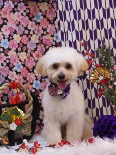 20250117ルッカくん